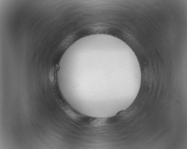 X0000054430138200508192133