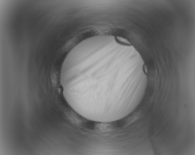 X0000054430139200508192133