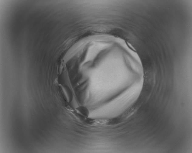 X0000054430143200508192133