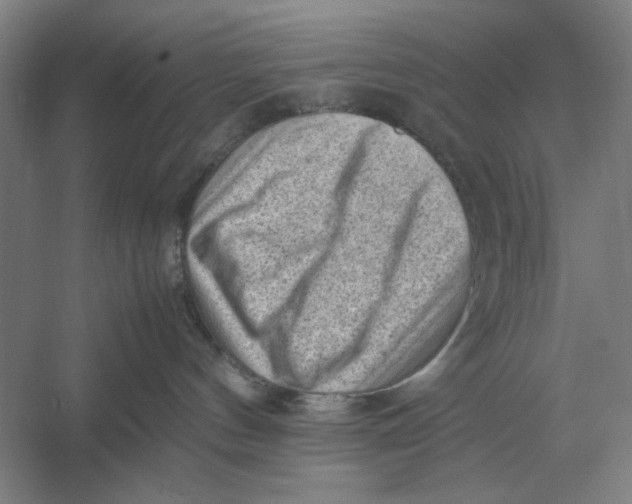 X0000054430144200508192133