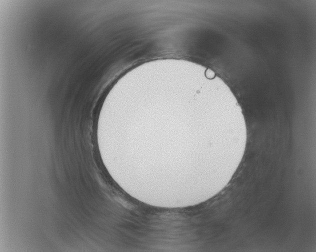 X0000054430146200508192132