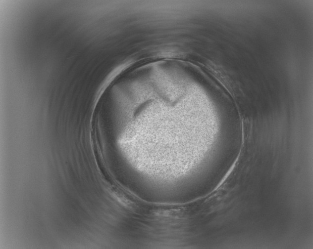 X0000054430147200508192132