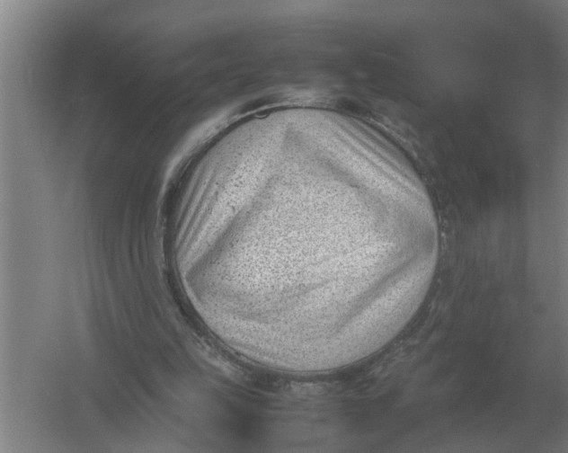 X0000054430149200508192132