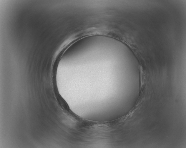 X0000054430150200508192132