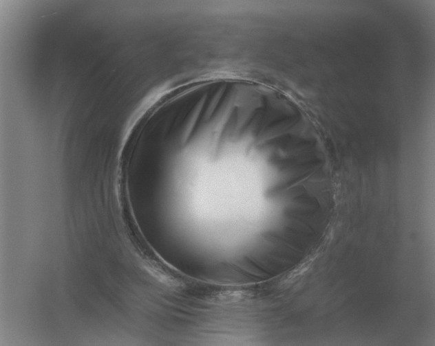 X0000054430152200508192133