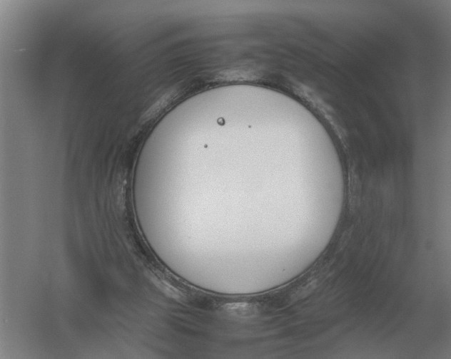 X0000054430153200508192133