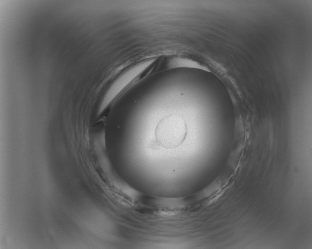 X0000054430154200508192133