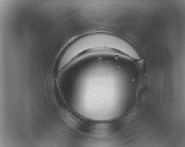 X0000054430156200508192133