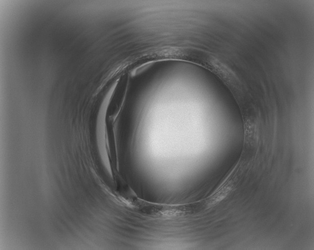 X0000054430158200508192133