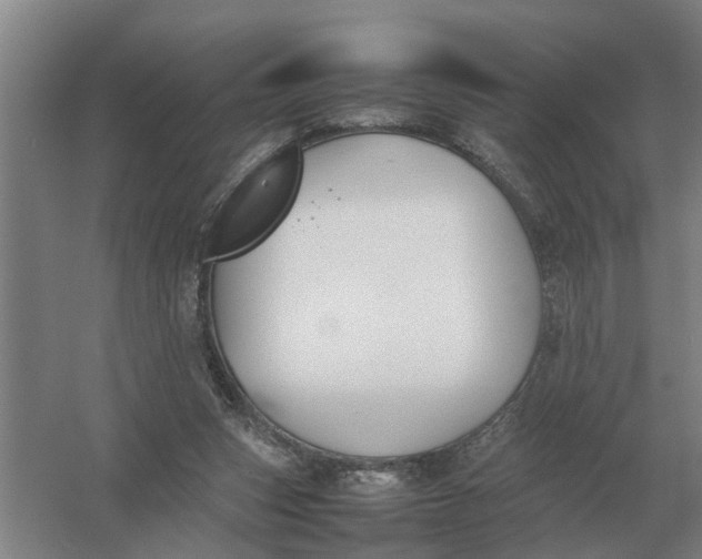 X0000054430159200508192133