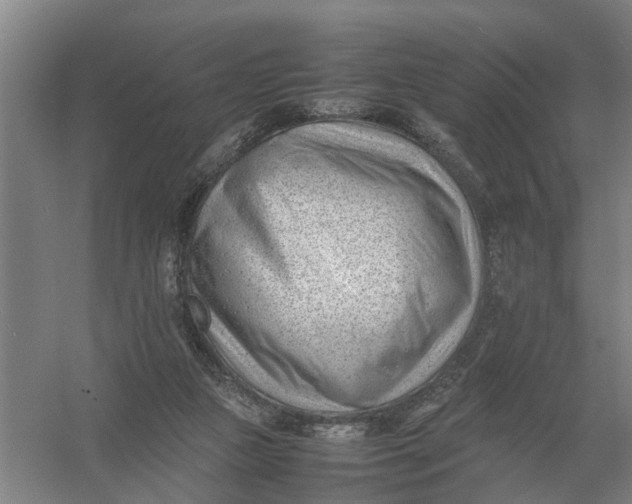 X0000054430161200508192133