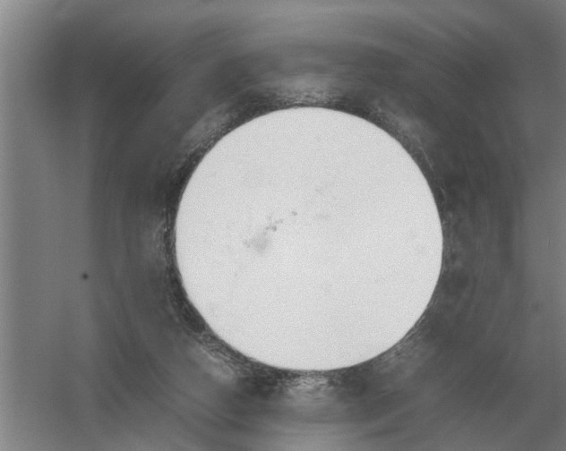 X0000054430162200508192133