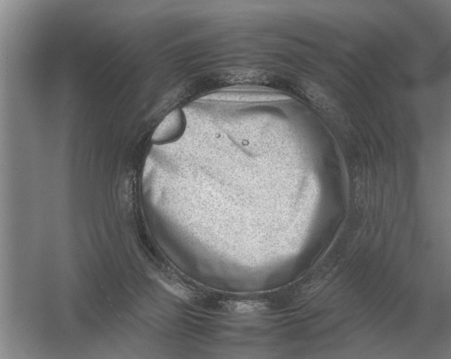 X0000054430165200508192133