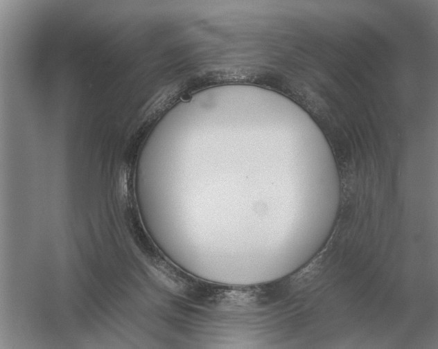 X0000054430166200508192133