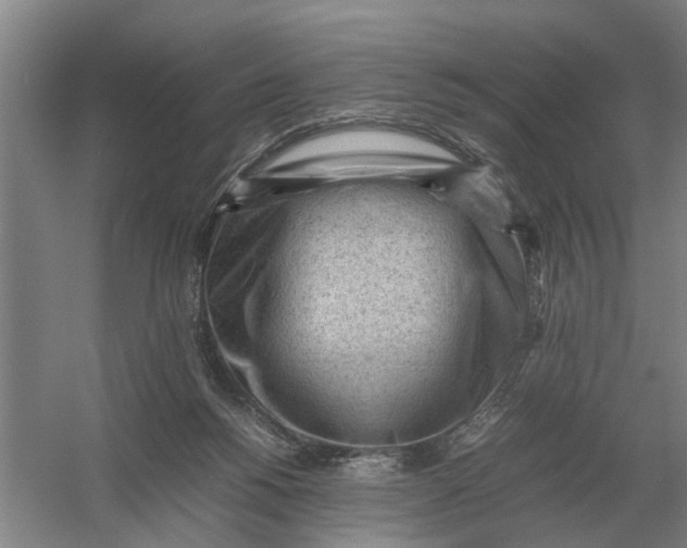 X0000054430168200508192133