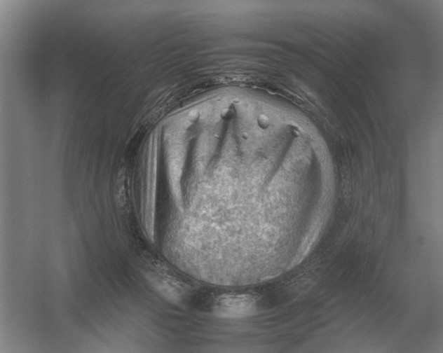 X0000054430169200508192133