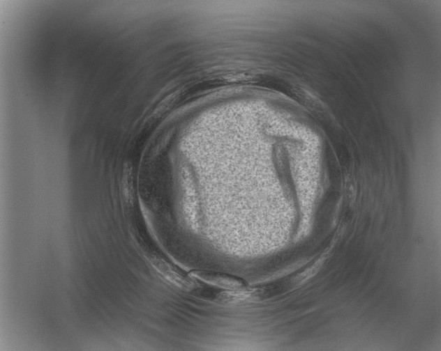 X0000054430170200508192133