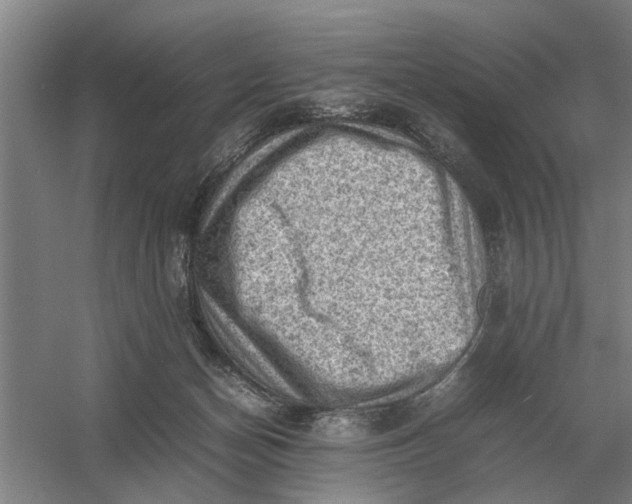 X0000054430174200508192133