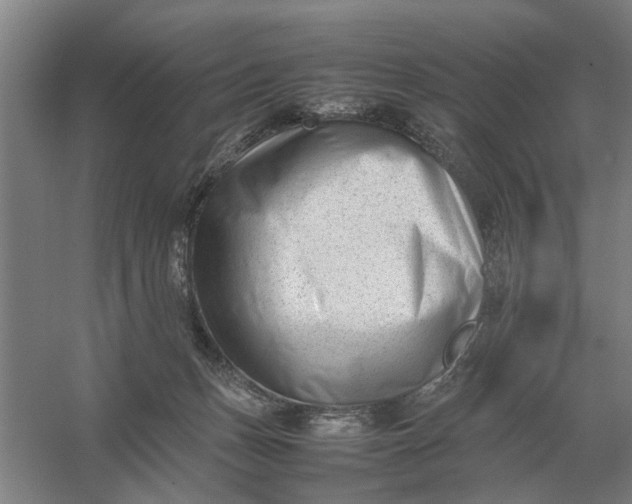 X0000054430175200508192133