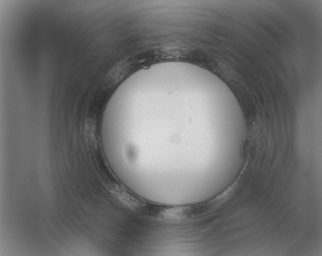 X0000054430178200508192133