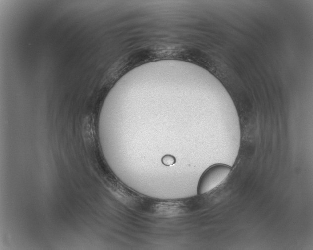 X0000054430179200508192133