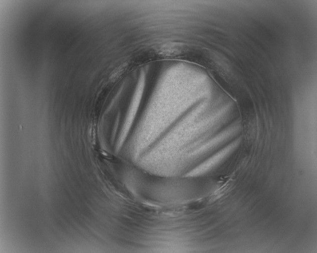 X0000054430180200508192133