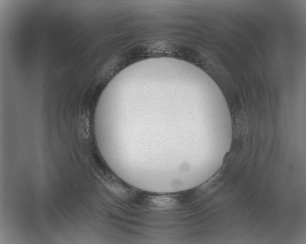 X0000054430183200508192133