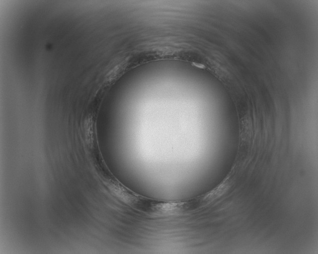 X0000054430184200508192133