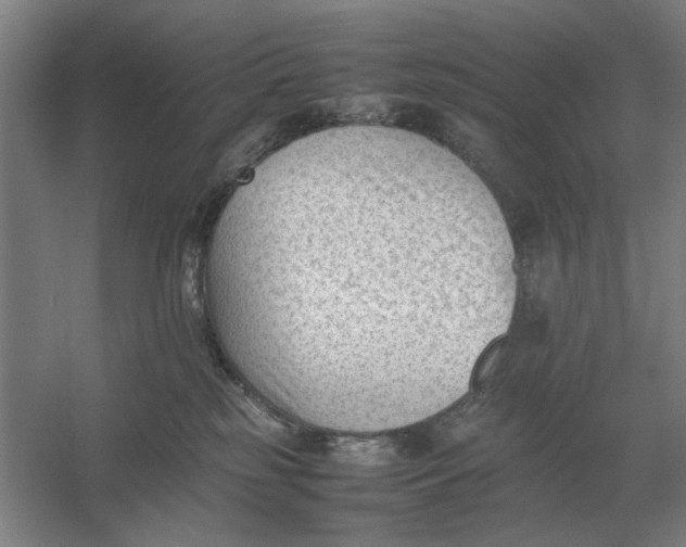 X0000054430185200508192133