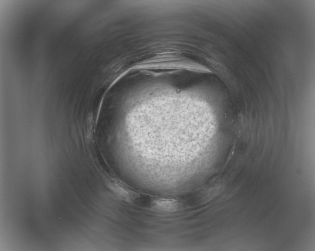 X0000054430189200508192133