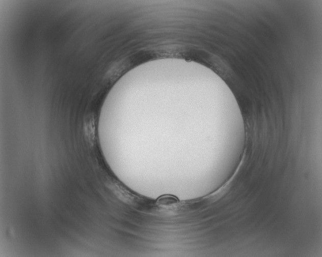 X0000054430190200508192133