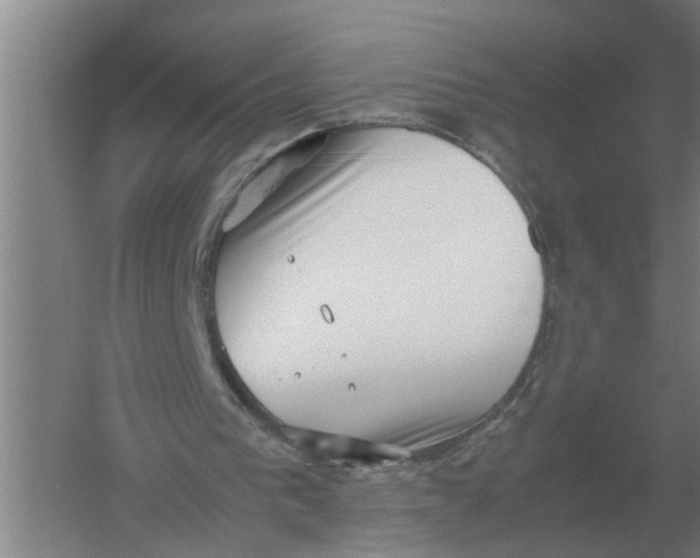 X0000054430193200508192132