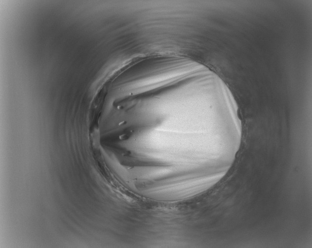 X0000054430194200508192132