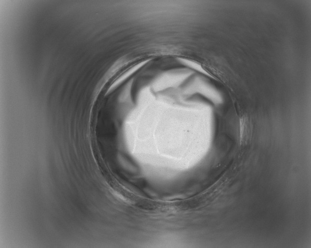 X0000054430195200508192132