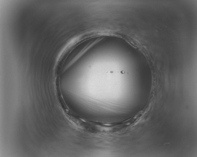 X0000054430197200508192132