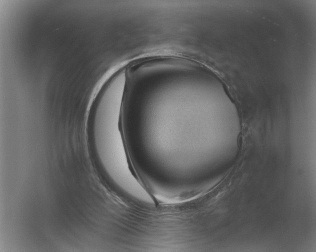 X0000054430200200508192132