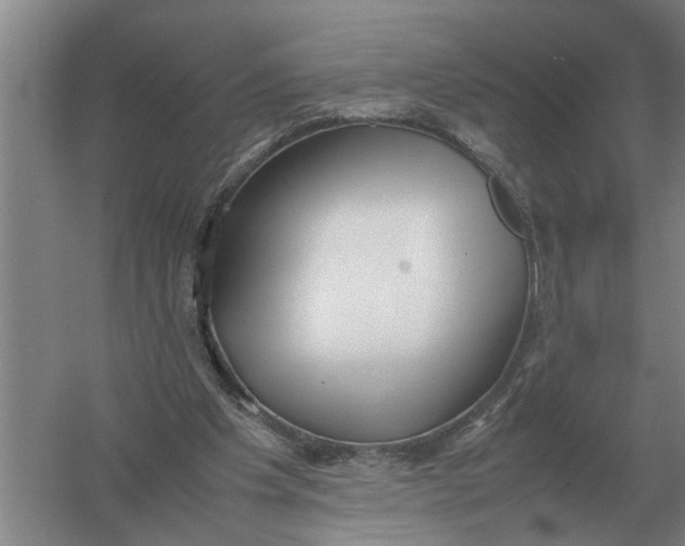 X0000054430201200508192132