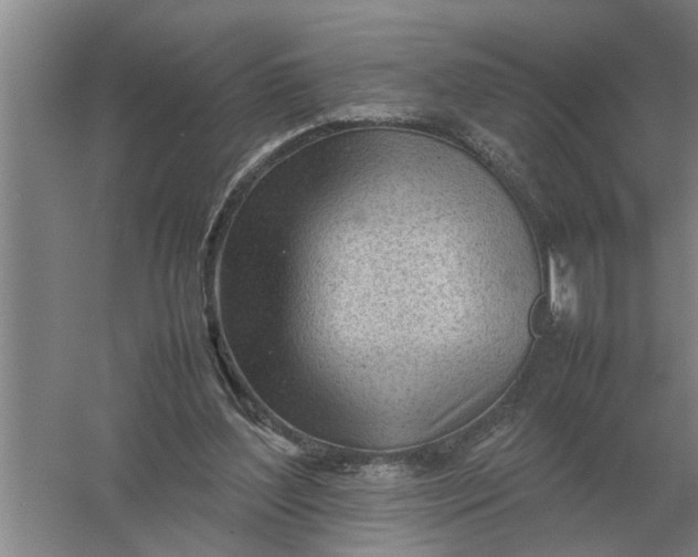 X0000054430204200508192132