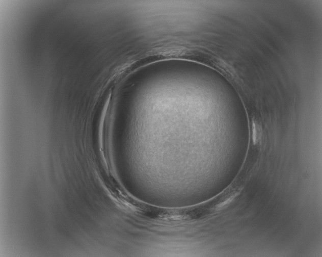 X0000054430205200508192132