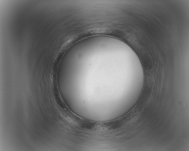 X0000054430207200508192132