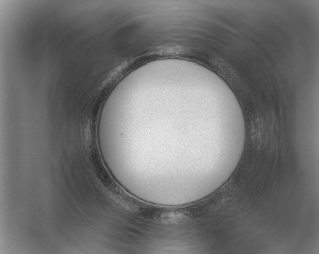 X0000054430208200508192132