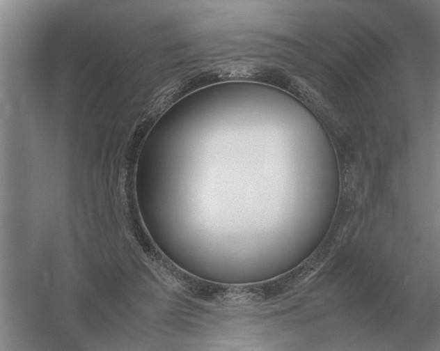 X0000054430209200508192132