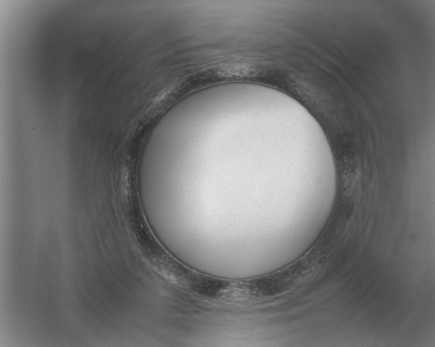 X0000054430211200508192132