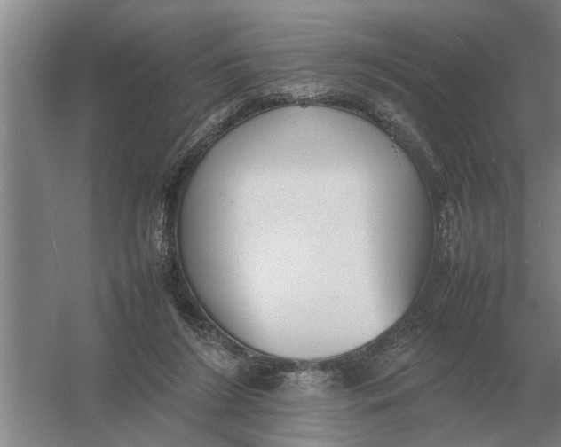 X0000054430212200508192132