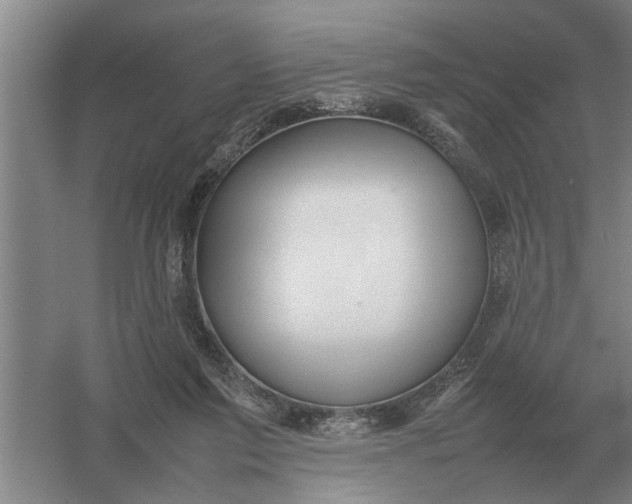 X0000054430213200508192132