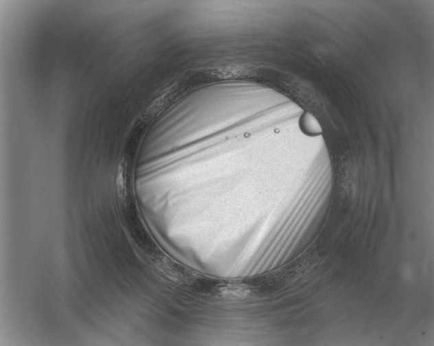 X0000054430214200508192132