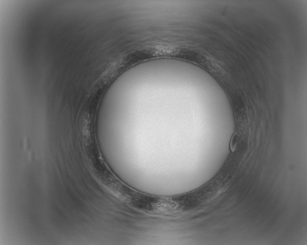 X0000054430215200508192132