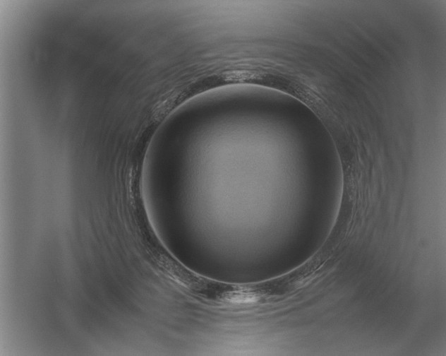 X0000054430219200508192132