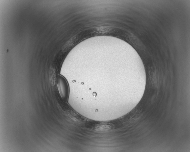 X0000054430220200508192132