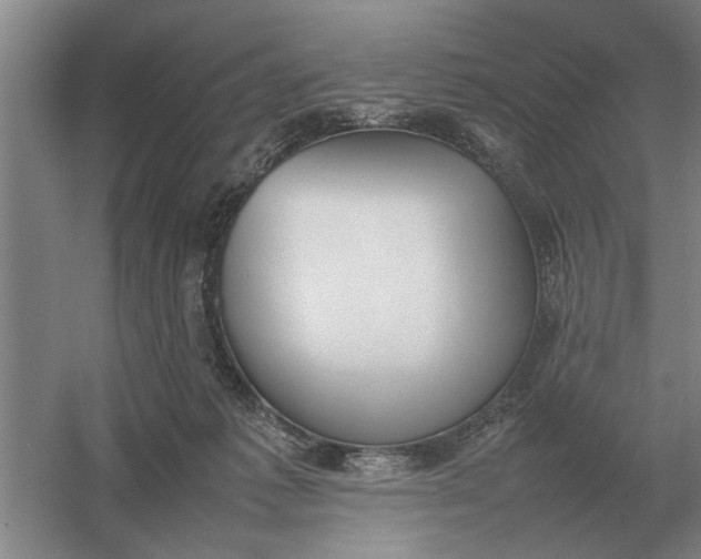 X0000054430221200508192132